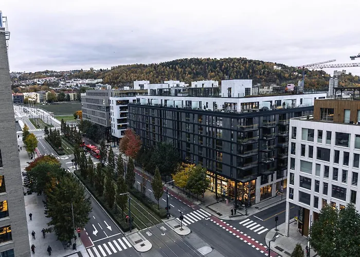 Spacious Modern 3Br Apartment At Central Oslo Barcode